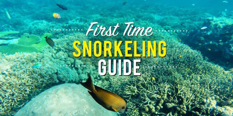 Snorkeling 101: The Complete Guide to Snorkeling
