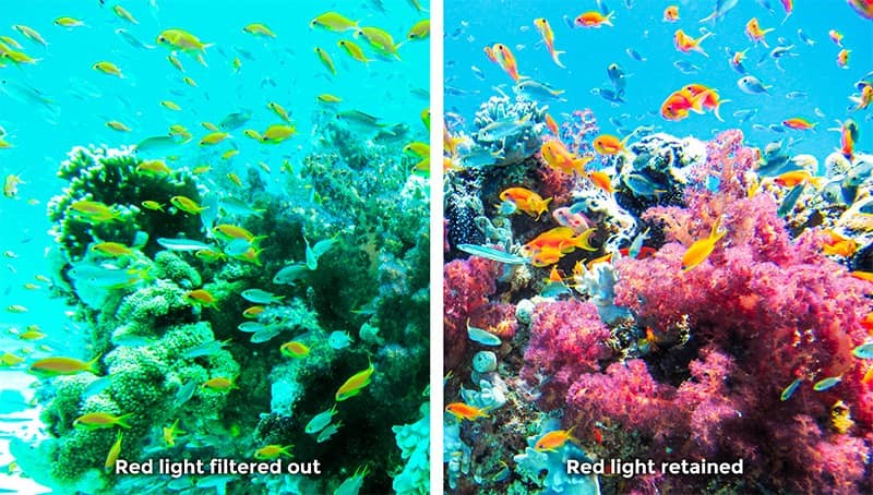 CAN YOU SNORKEL WITH A GOPRO? AND, CAN YOU USE A GOPRO FOR SCUBA DIVING?
