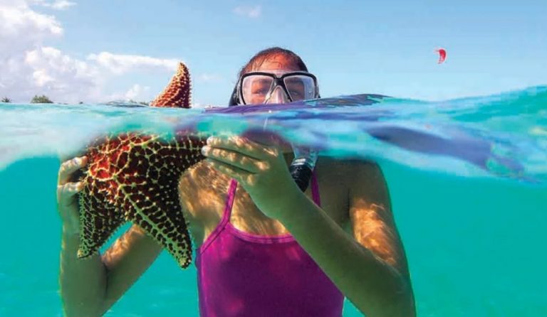 10 Best snorkeling spots to see starfish