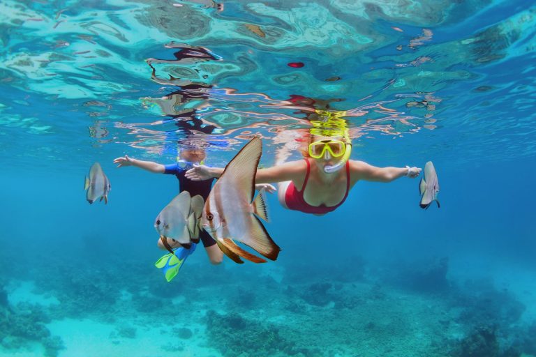 10 Best snorkeling spots to see angelfish