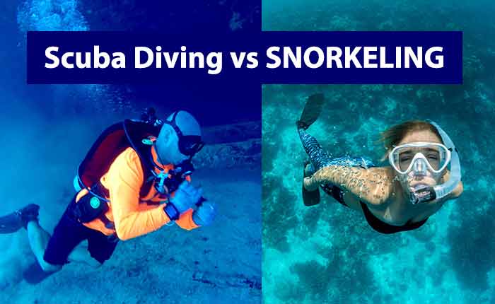Difference Between Snorkeling, Skin Diving, and Free Diving