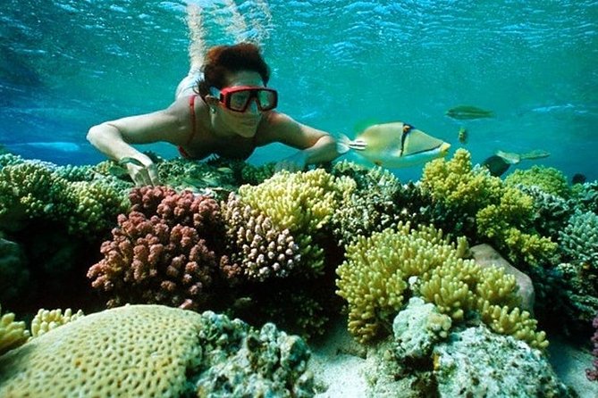 Where are the best coral reefs on the earth? This post shows the 10 best coral reefs for snorkeling around the world, let's discover them!