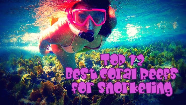Our top 12 best coral reefs for Snorkeling