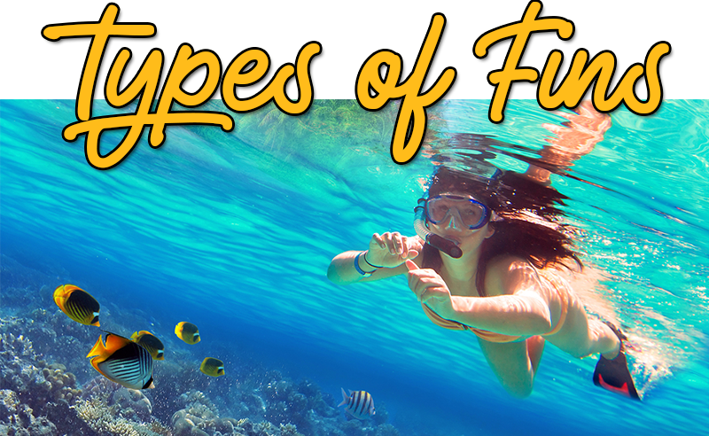 Different typess of snorkeling fins
