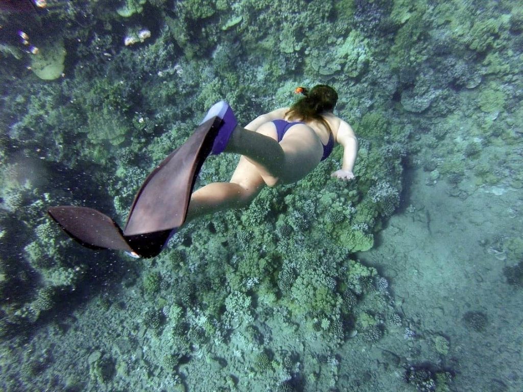 While snorkeling may not be as involved as SCUBA diving, you may be wondering 'is snorkeling dangerous?' and we're answering that question in this post!