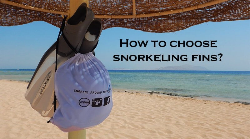 How to Choose Best snorkeling fins