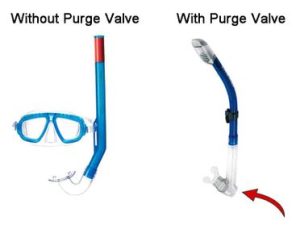 What is a snorkel purge valve? A purge valve is a one-way valve on the bottom of a snorkel to trap and expel water when you exhale.