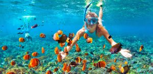 Best Snorkeling Spots To See Clownfish