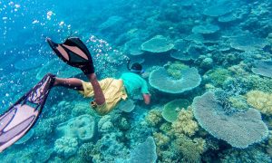 10 Best Snorkeling Spots To See Clownfish