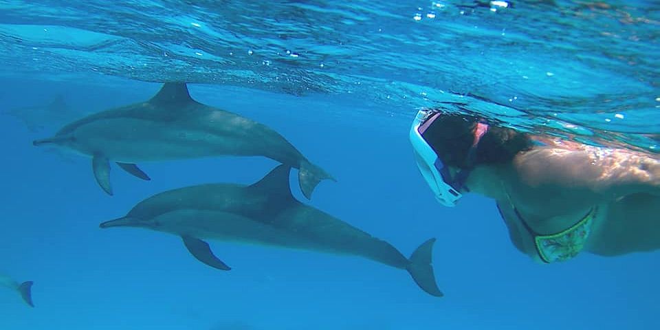 2. SAMADAI REEF, EGYPT. Best Snorkeling Spots to See Dolphins