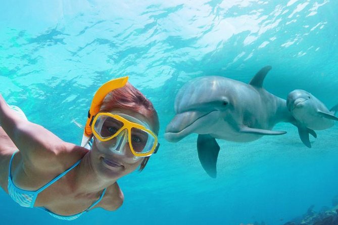 3. TWO STEPS, HAWAII. Best Snorkeling Spots to See Dolphins