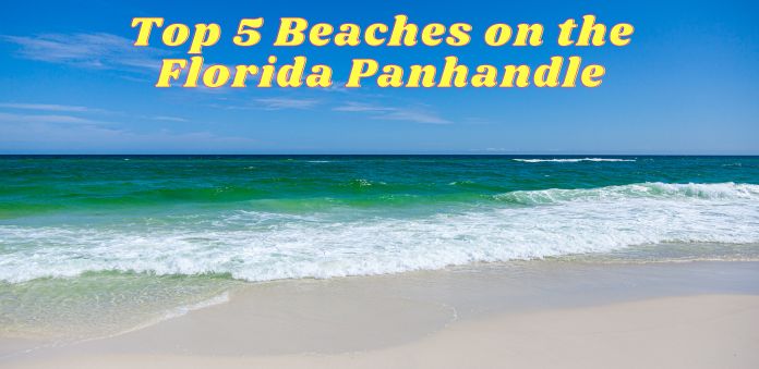 7 Best Florida Panhandle Snorkeling & Scuba Diving
